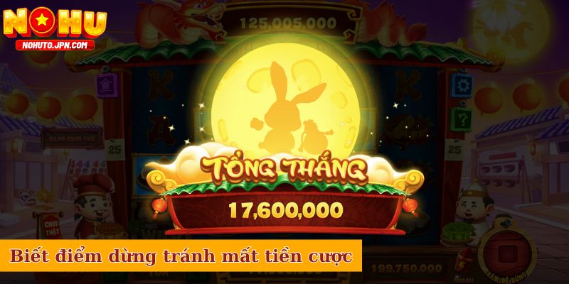 Biết điểm dừng tránh mất oan tiền cược