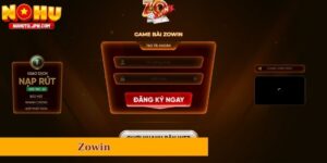 Zowin