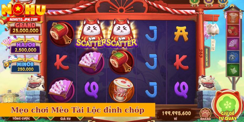 Mẹo chơi Mèo Tài Lộc đỉnh chóp cho newbie